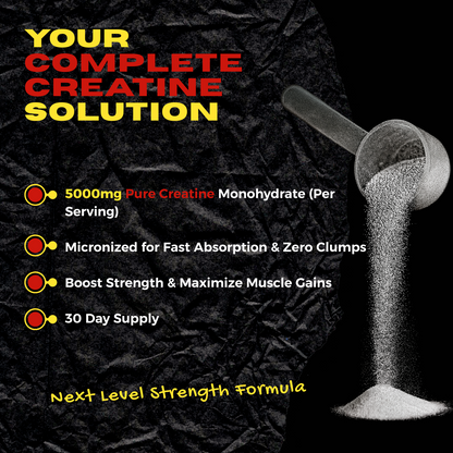 Creatine TORO BOOM Monohydrate 5g | Micronized, 30 Servings